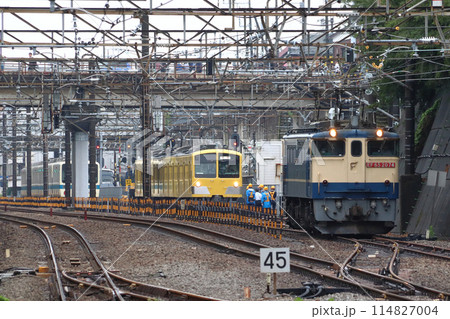 ［2024.05］西武鉄道に渡る小田急8000形牽引のEF65形回送（武蔵野線新秋津付近） 114827004