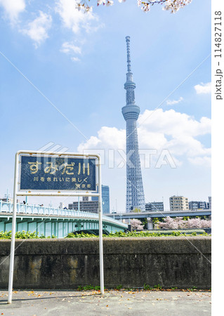 隅田川と東京スカイツリー 隅田川と東京スカイツリー 114827118