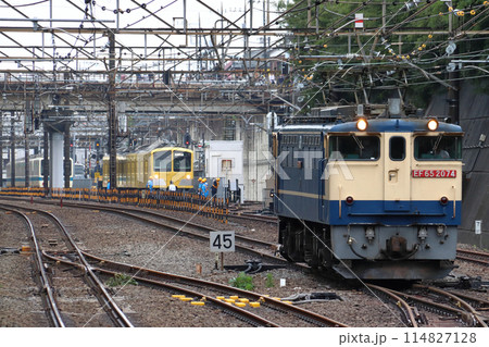 ［2024.05］西武鉄道に渡る小田急8000形牽引のEF65形回送（武蔵野線新秋津付近） 114827128