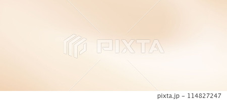 Smooth beige wave gradient background. Soft neutral liquid wallpaper. Silk ecru color texture for banner, flyer, presentation, graphic design. Abstract blurred wavy backdrop cover. Vector 114827247