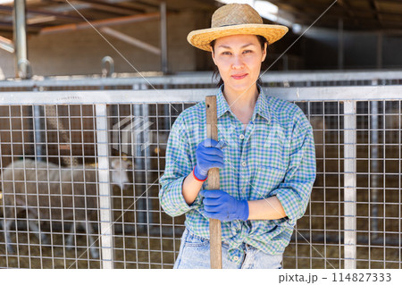 Portrait of a asian woman farmer standing near alpaca pens 114827333
