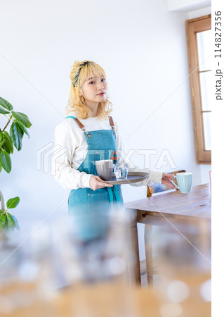 飲食店で働く若い女性 114827356