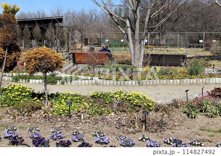 木曽三川公園　フラワーパーク江南散策・25（愛知県江南市） 114827492