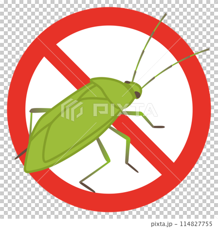 Want to prevent mass outbreaks of stink bugs Vector illustration (diagonal) Want to prevent mass outbreaks of stink bugs Vector illustration (diagonal) 114827755
