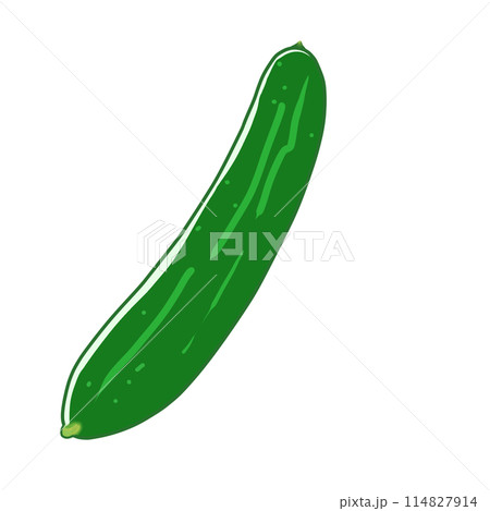 夏野菜 シンプルなみずみずしい採れたてのおいしいきゅうり一本のイラスト 夏野菜 シンプルなみずみずしい採れたてのおいしいきゅうり一本のイラスト 114827914