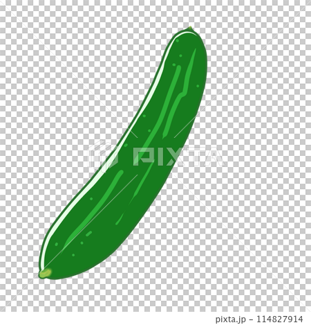 夏野菜 シンプルなみずみずしい採れたてのおいしいきゅうり一本のイラスト 夏野菜 シンプルなみずみずしい採れたてのおいしいきゅうり一本のイラスト 114827914