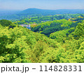 初夏の奈良 114828331