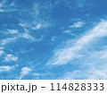 青い空と白い雲と飛行機 114828333