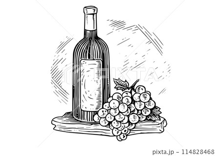 Vintage Vineyard Elegance: Hand-Drawn Wine Illustration with Grapevine Vector Sketch. 114828468