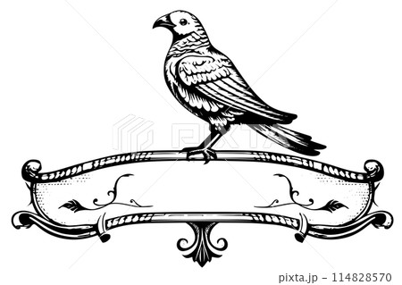 Vintage Hand-Drawn Chalkboard Banner with Bird, Antique Engraving Style, Retro Vector Illustration. Vintage Hand-Drawn Chalkboard Banner with Bird, Antique Engraving Style, Retro Vector Illustration. 114828570