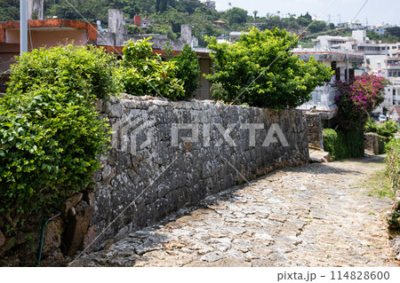 首里金城町の石畳 114828600