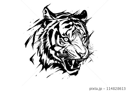 Wild Tiger Head Vector Illustration, Black and White Sketch Design. Wild Tiger Head Vector Illustration, Black and White Sketch Design. 114828613