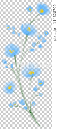 Flower watercolor painting 114828709