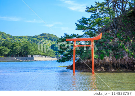 初夏の夢の小夜島 大島 福岡県宗像市 初夏の夢の小夜島 大島 福岡県宗像市 114828787