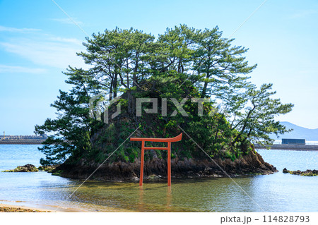 初夏の夢の小夜島 大島 福岡県宗像市 初夏の夢の小夜島 大島 福岡県宗像市 114828793