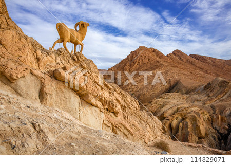 シェビカ 114829071