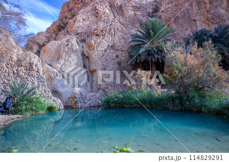 シェビカ 114829291