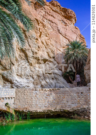 シェビカ 114829301