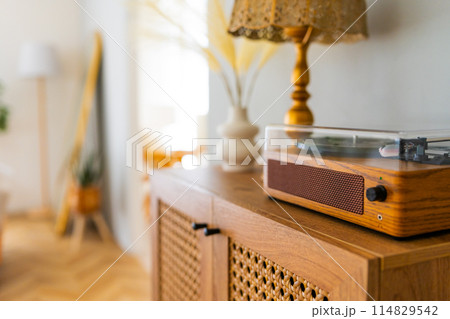 おしゃれなチェスト 114829542