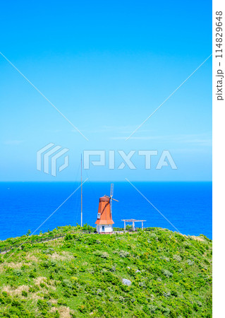 初夏の風車展望所　大島　福岡県宗像市 114829648