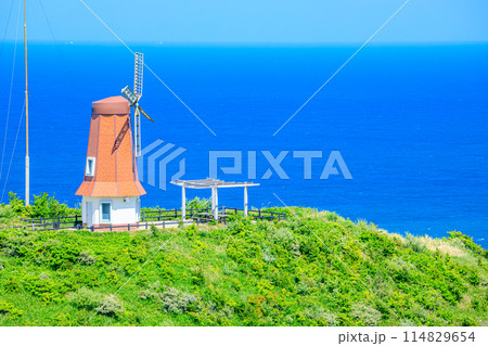 初夏の風車展望所　大島　福岡県宗像市 114829654