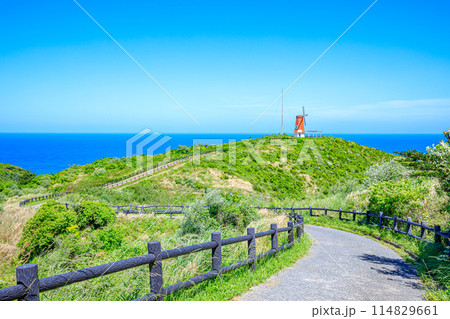 初夏の風車展望所　大島　福岡県宗像市 114829661
