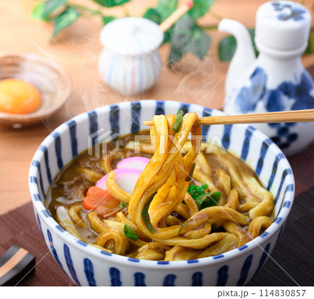 カレーうどん 極太麺 讃岐うどん カレーうどん 極太麺 讃岐うどん 114830857