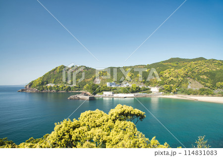 磯崎町から鬼ヶ城を望む 【三重県熊野市】 磯崎町から鬼ヶ城を望む 【三重県熊野市】 114831083