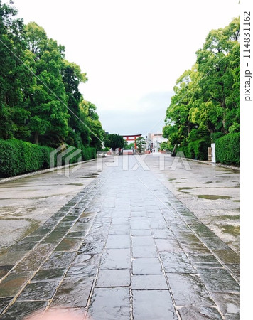 夏の緑に囲まれた石畳道 雨上がり 夏の緑に囲まれた石畳道 雨上がり 114831162