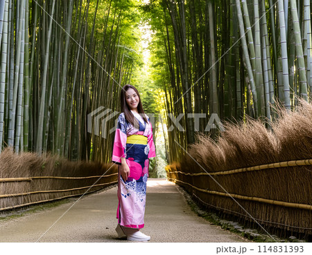 綺麗な着物を着ている女性 綺麗な着物を着ている女性 114831393