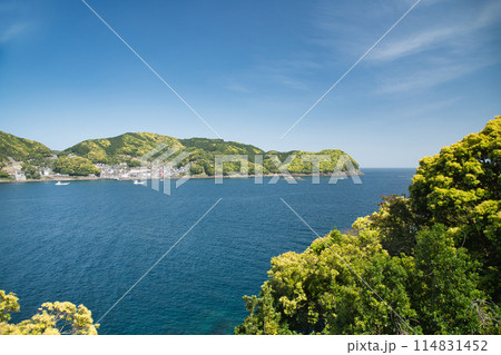 鬼ヶ城から磯崎港を望む 【三重県熊野市】 鬼ヶ城から磯崎港を望む 【三重県熊野市】 114831452