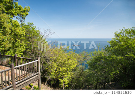 鬼ヶ城跡(鬼の展望台から熊野灘・マブリカを望む)　【三重県熊野市】 114831630