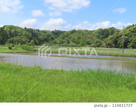 田んぼのある風景 田んぼのある風景 114831737