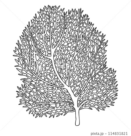 Sea fan , ocean coral reef organizm. Hand drawn vector outline illustration isolated on white background. Graphic black and white sketch style. For clip art package 114831821