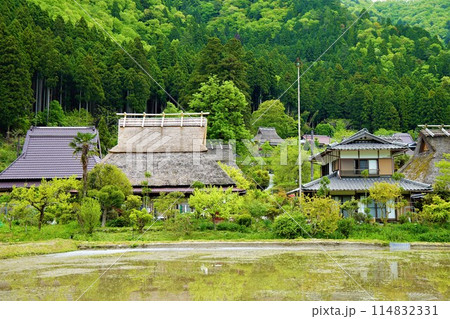 新緑の季節を迎えた美山町の合掌造り 新緑の季節を迎えた美山町の合掌造り 114832331