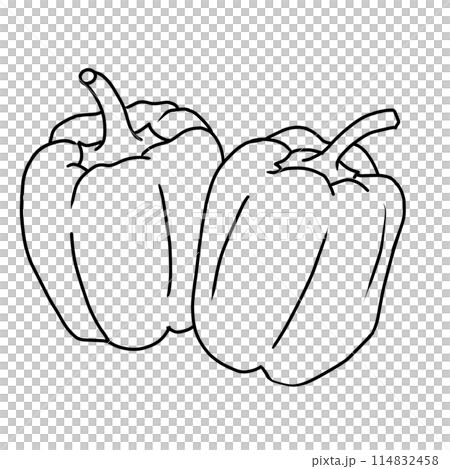 Summer vegetables: A simple line drawing and coloring of two peppers lined up 114832458
