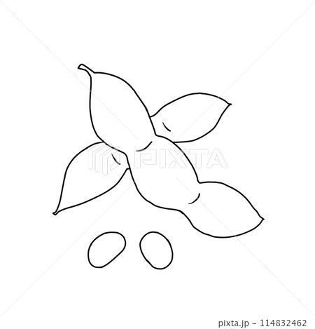 夏野菜 シンプルな枝豆のイラストの線画・ぬりえ 夏野菜 シンプルな枝豆のイラストの線画・ぬりえ 114832462