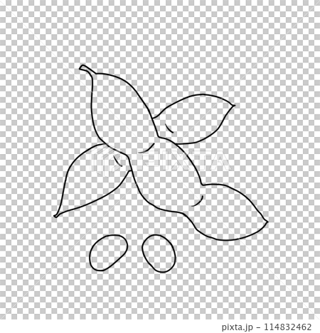 夏野菜 シンプルな枝豆のイラストの線画・ぬりえ 夏野菜 シンプルな枝豆のイラストの線画・ぬりえ 114832462
