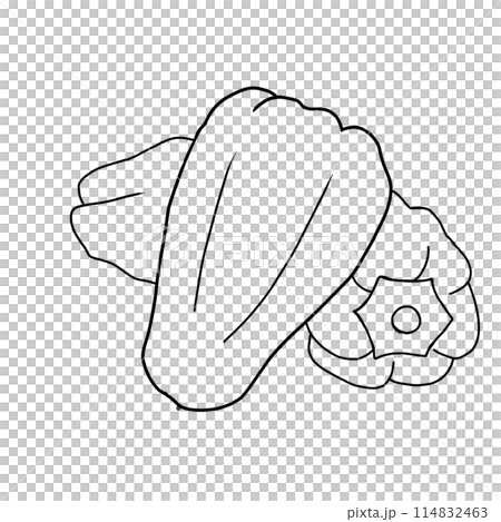 夏野菜　シンプルなピーマンのイラストの線画・ぬりえ 114832463