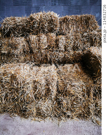 old plant straw background old plant straw background 114832716