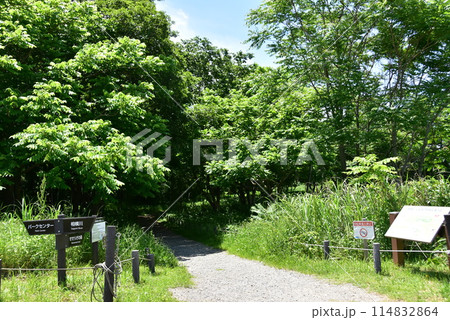 海老名市　神奈川県立相模三川公園せせらぎの森（自然観察園）入口 114832864