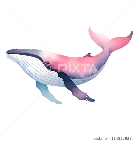 3D pink humpback whale 114832928