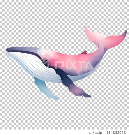 3D pink humpback whale 114832928