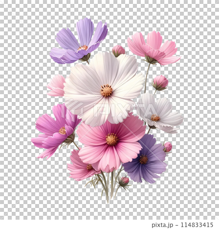 3d bouquet of cosmos 114833415