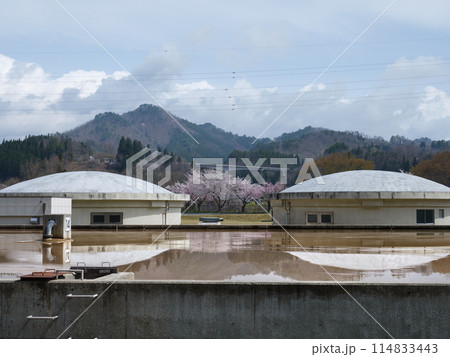 浄水場の天日乾燥床で乾く前の泥 114833443