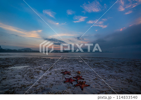 sweet sky in sunrise above the red starfish.. 114833540