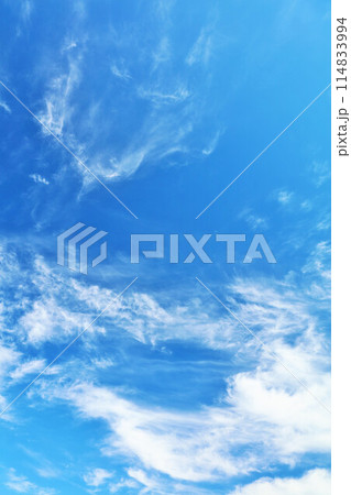 秋の青空と雲 114833994
