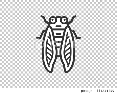 Illustration of a cicada icon (line drawing) 114834135