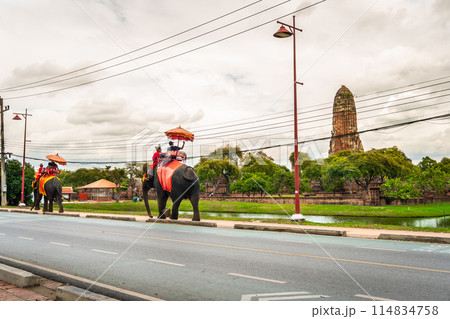 Tourists wear a mask to sit on the back of an elephant to visit Rama Temple in the Ayutthaya Historical Park area. during the covid 19 epidemic live a new normal life near Bangkok, Thailand Tourists wear a mask to sit on the back of an elephant to visit Rama Temple in the Ayutthaya Historical Park area. during the covid 19 epidemic live a new normal life near Bangkok, Thailand 114834758