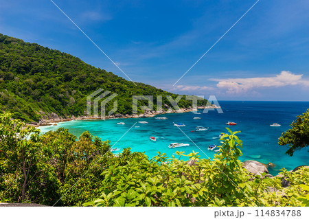Similan Island view point with speed boat Many boats are waiting to transport tourists in the high season, Phang Nga Province, Thailand. 114834788